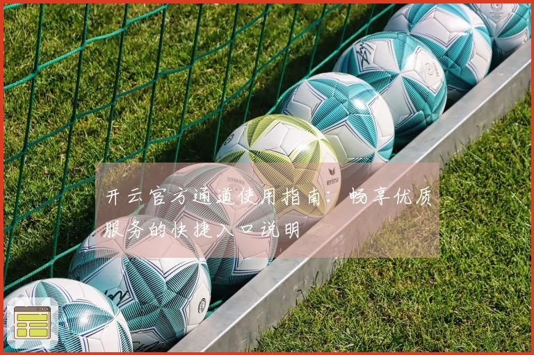 开云官方通道使用指南：畅享优质服务的快捷入口说明